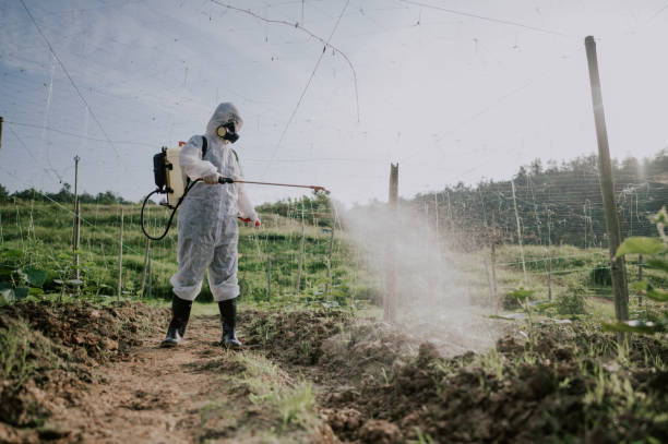 Best Residential Pest Control  in Metzger, OR