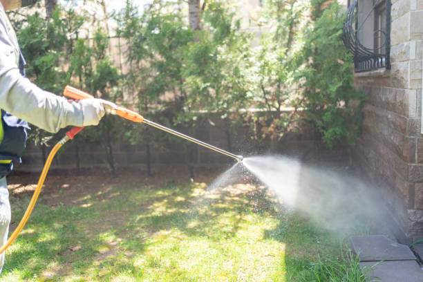 Best Insect Control  in Metzger, OR