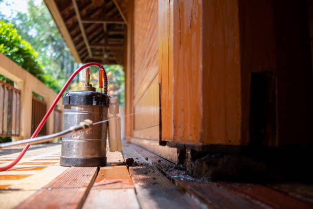 Best Affordable Pest Control Services  in Metzger, OR