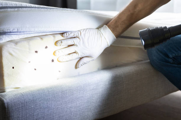 Best Pest Inspection Near Me  in Metzger, OR