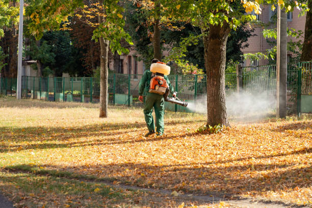 Best Pest Inspection Near Me  in Metzger, OR
