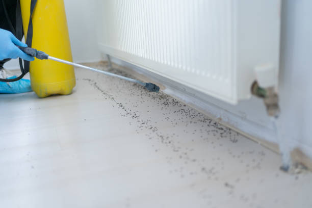 Best Best Pest Control Companies  in Metzger, OR