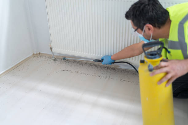 Trusted Metzger, OR Pest Control Experts